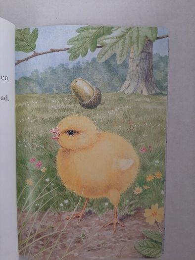 5 ladybird tales