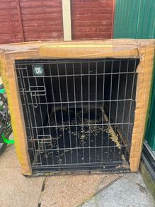 dog cage