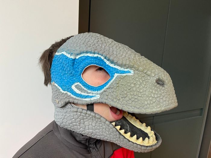 DInosaur mask