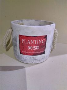 Pot