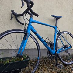 Giant Contend SL1