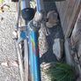 Ladies Vintage MBK Bicycle Bike 1980s all works great original condition Very Nice Road bike Image 2