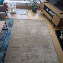 Hand Knotted Rug