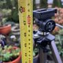 tripod Image 2