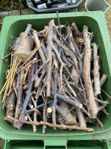 Wood kindling