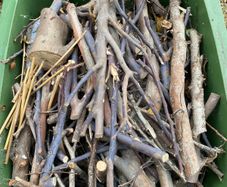 Wood kindling