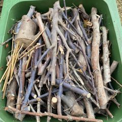 Wood kindling