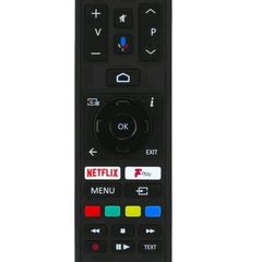 Panasonic  TV Remote Control