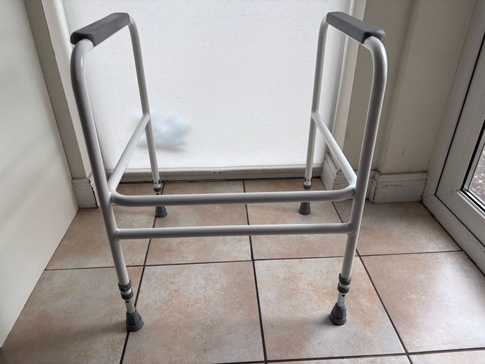 Toilet safety rail