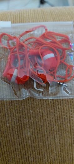 Earphones