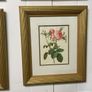 Set of six framed rose prints Image 5