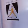 James Joyce / A Passionate Exile/ John McCourt/ 2000 Image 4