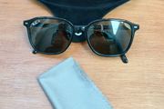 Ray-Ban Leonard - Polarized - Like New !
