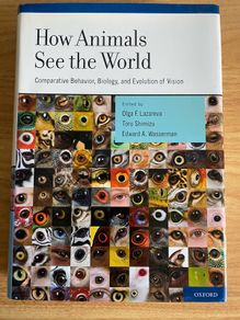 How Animals See the World RRP 227Euro