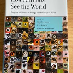 How Animals See the World RRP 227Euro