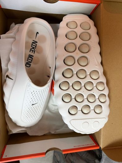 shoe