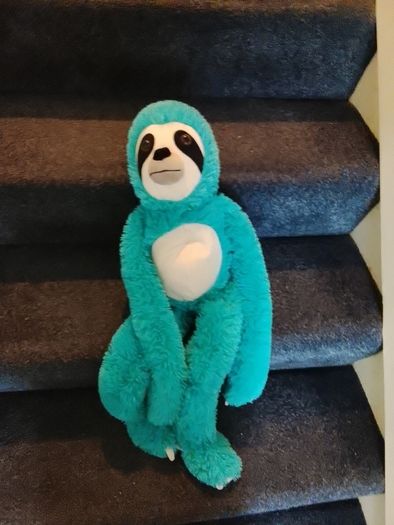 sloth plushy