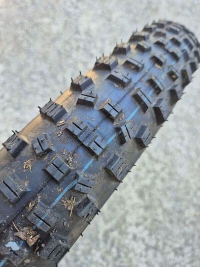 Schwalbe Hans Dampf