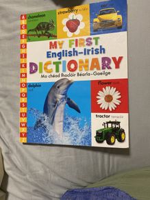 Irish language children's book