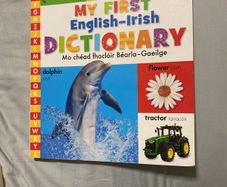 Irish language children's book