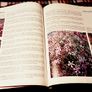 1978. The Complete Gardener. Brian Walkden. Image 3