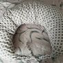 Pregnacy pillow Image 4