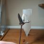 Grey Goose Champagne Flutes Box of 6 Image 4