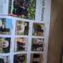 Labrador calender 2020 Image 3