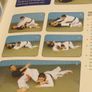 Ju-Jitsu A Path For Beginners Image 5