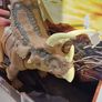 Jurassic World Pentaceratops Mega Destroyers Figure - Brand New Image 7