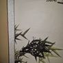 Japanese Bamboo art painted hanging scroll Image 9