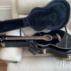 Electric/Acoustic Guitar + hard case