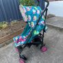 buggy Image 2
