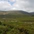 diarmaid-555