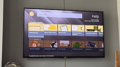 Sony Bravia 55" TV