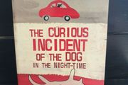 the curious incident of the dog in the night time by mark haddon