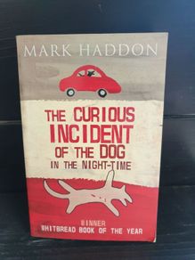 the curious incident of the dog in the night time by mark haddon