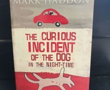 the curious incident of the dog in the night time by mark haddon