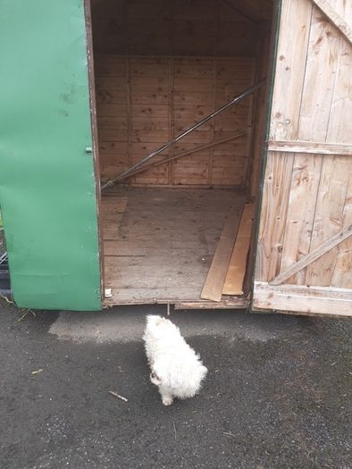 shed