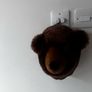 Bear plush wall mount Image 3