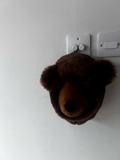 Bear plush wall mount
