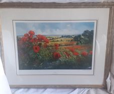 " Wild Poppies " Limited Edition Dorothea Buxton Hyde.