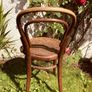 Antique Bentwood Cafe Chair with Original Factory Label Art Nouveau circa 1900 to 1925 Image 5
