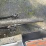 Boardman Hybrid Bike XL Image 5