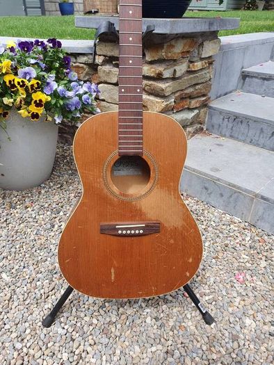 Seagull S6+ Folk Project Guitar