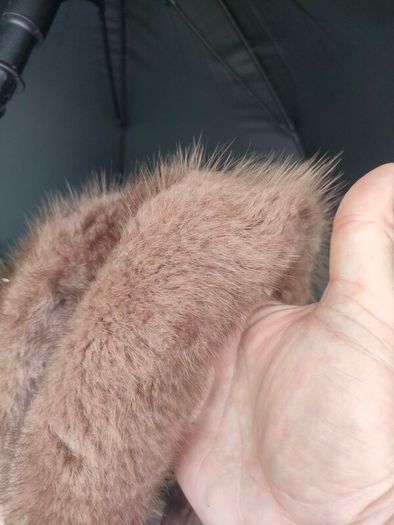 Vintage Kate's Canadian Boutique Fur Hat