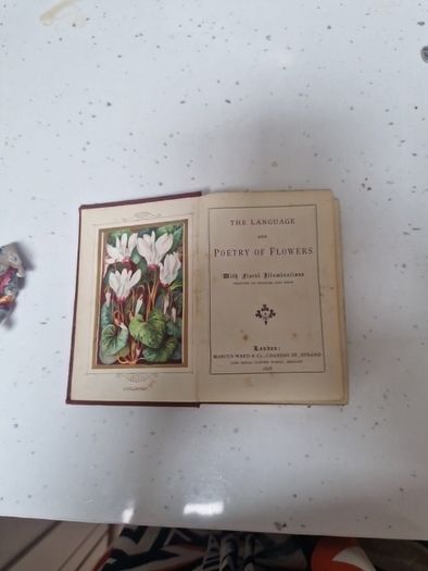 language of poetry of flowers antique book
