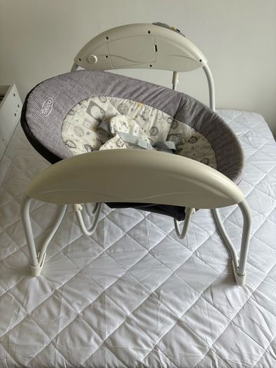 Graco Baby Swing