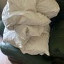 duvet Image 2