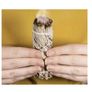 For cleansing, meditation & purification - great for weddings & home cleansing Image 3